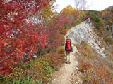 紅葉の涸沢