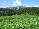 烏帽子岳から高天原