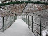 六甲山雪