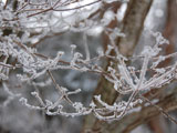 六甲山雪